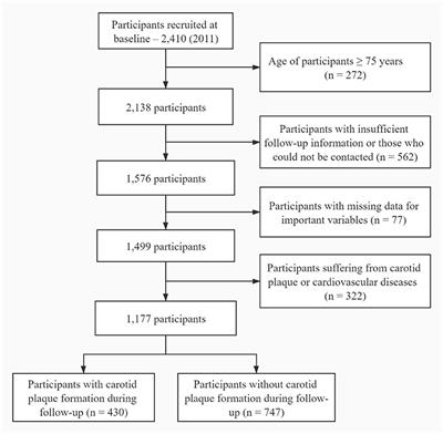 The Role of Blood Pressure in Carotid Plaque Incidence: Interactions With Body Mass Index, Age, and Sex-Based on a 7-Years Cohort Study